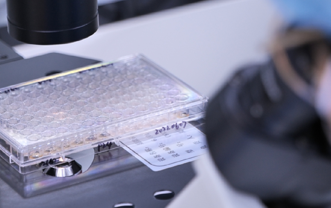 Cell Banking Single Use Support - 8K City Designs for Desktop